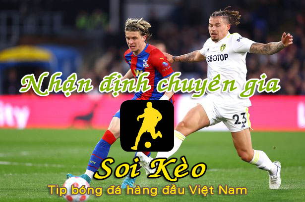 Soi Kèo Crystal Palace - Leeds