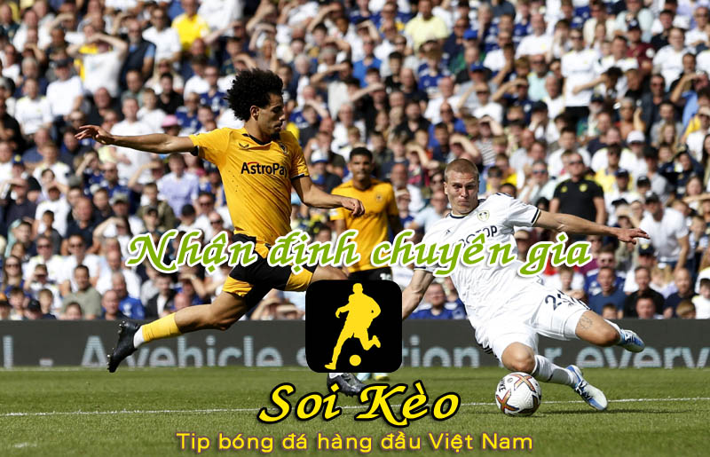 Soi Kèo Wolves - Leeds