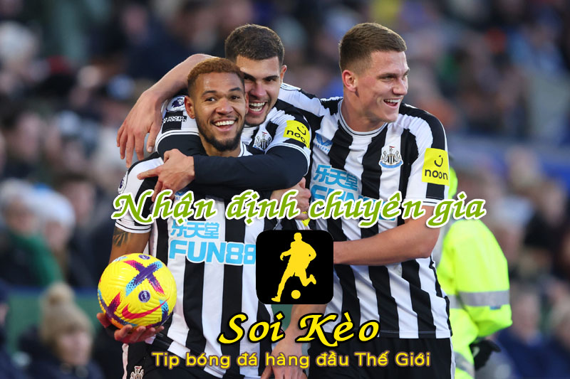 Soi Kèo Newcastle - Leeds