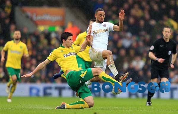 Nhận định Soi Kèo Leeds vs Norwich: Những kẻ khốn khổ