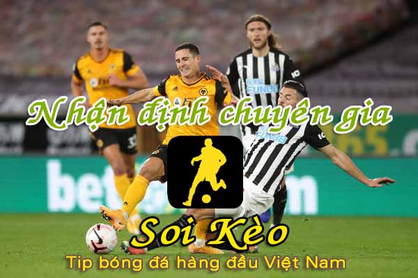 Nhận định Soi Kèo Newcastle vs Wolves: Phong độ chạm đáy