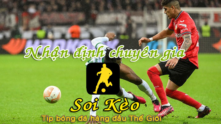 Soi Kèo Ferencvarosi - Leverkusen