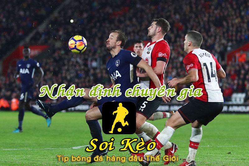 Soi Kèo Southampton - Tottenham