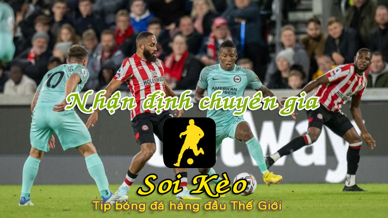 Soi Kèo Brighton - Brentford