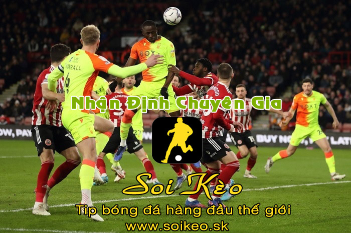 Soi Kèo tip bóng đá Nottingham - Sheffield