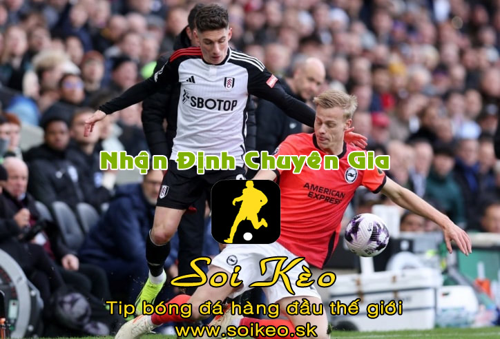 Soi Kèo tip bóng đá Fulham - Brighton