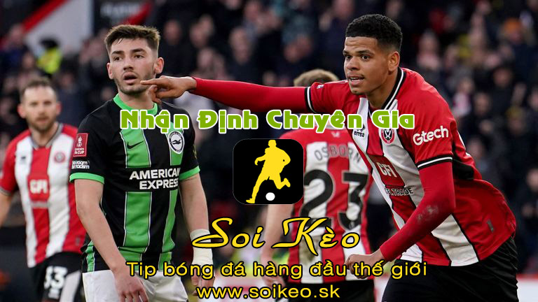 Soi Kèo tip bóng đá Sheffield United - Brighton